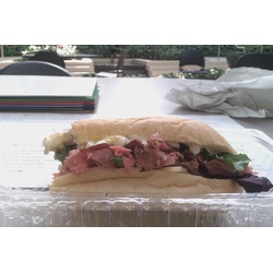 Art Institute of Tampa