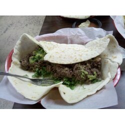 Los Gallo's NEW BRAUNFELS TX