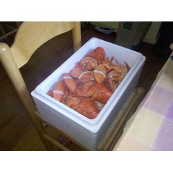 Cambridge,  MA Bert's house