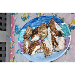 Cambridge, MA, The Nelson House