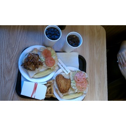 doogie's newington ct