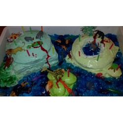 twins b day party, fenway, boston