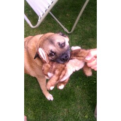 in providence w/ peter and bea @ ninnys