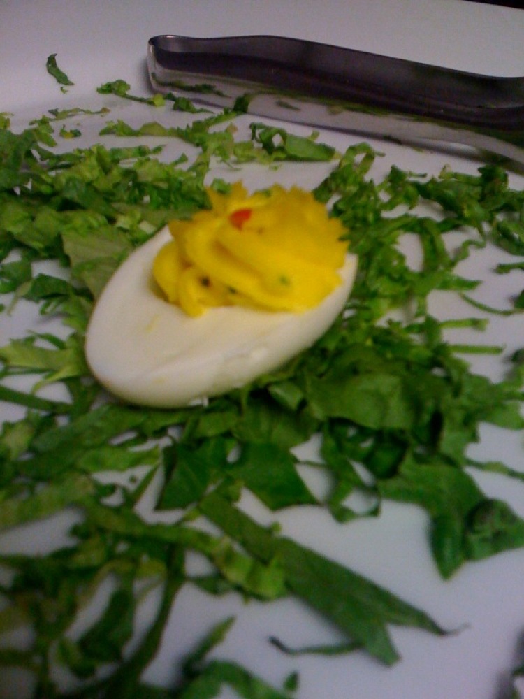 Cambridge Marriott back Office :: the hotel kitchen made us some deviled eggs to snack on!!!! yipppppiee!!!!