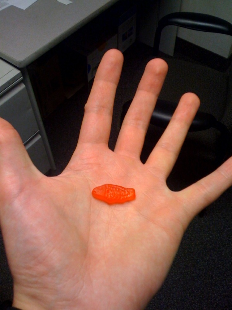 Cambridge Marriott back Office :: I found some swedish fish swimming around so I ate one!!!" GULP!!!