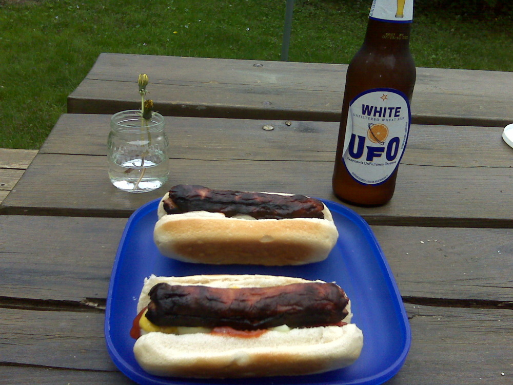 home milford nh :: angus beef hotdogs LOADED with onions. harpoon UFO white