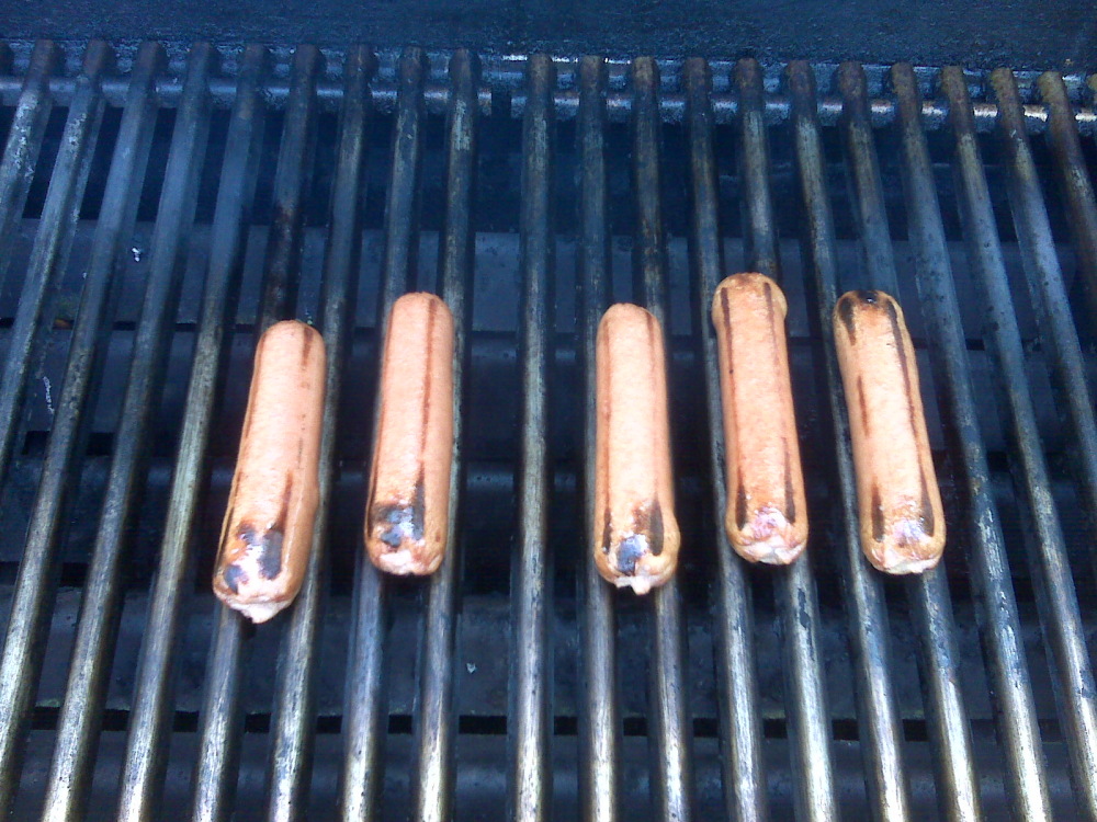home milford nh :: hotdogs on the grill