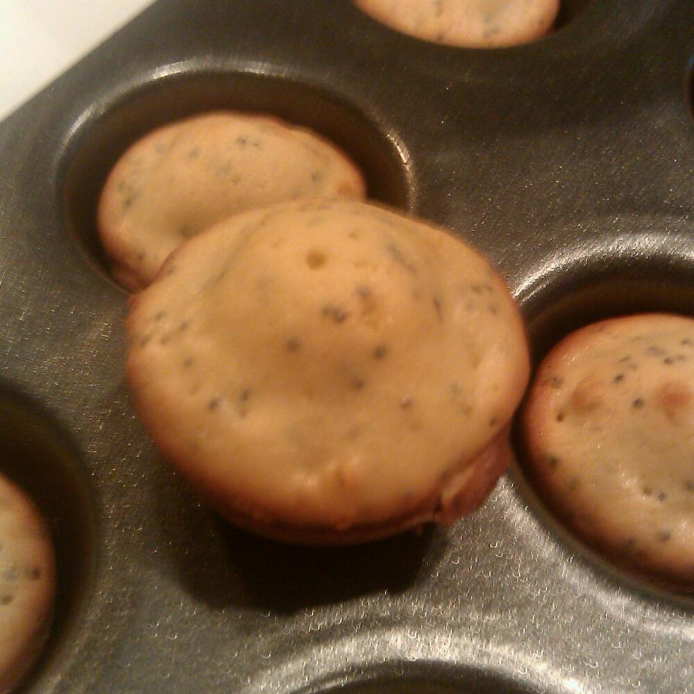 AZ :: lemon poppy seed muffins