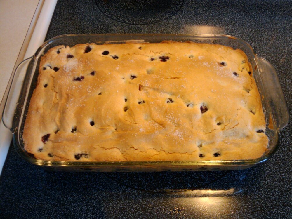 Orlando,FL :: Home-made blueberry cake made from a New England recipe.  