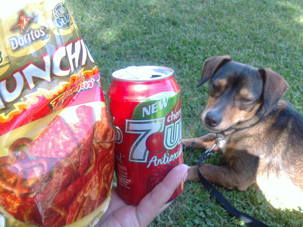 sunny san diego :: flaming hot munchies and cherry seven up at the park with my dog lee