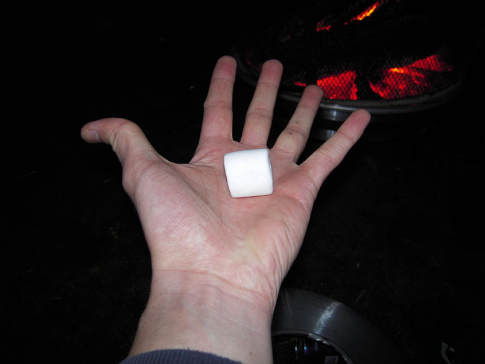 Jamaica Plain, MA :: we all were sitting by a camp-fire in a friends back-yard and I found a bag of marshmallows and I started to eaat them!!" I ate a bunch and feel great about it.... I also put a few in the fire to watch them burn!!