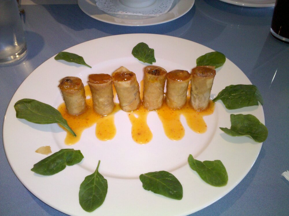albany :: veggie spring rolls