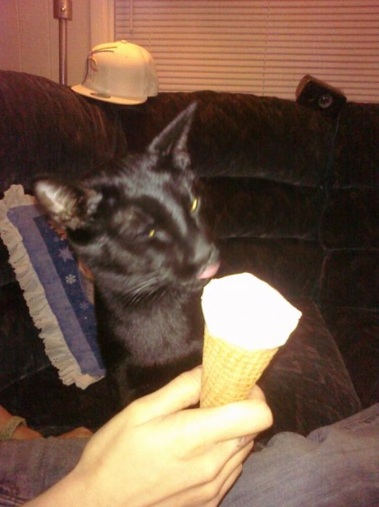 ALLENTOWN,PA :: Fitch Chango enjoying sum party cake ice cream.