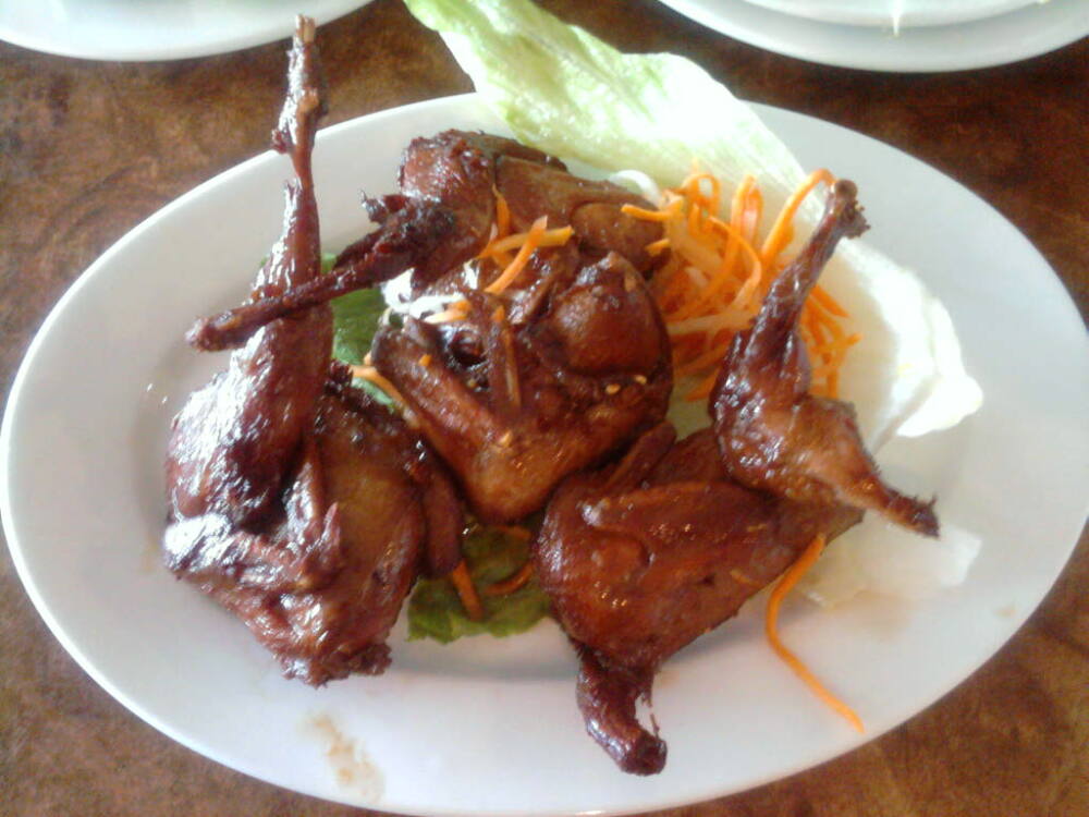 eastern ct :: roast quail at pho boston in wet hartford ct. great place and cheap