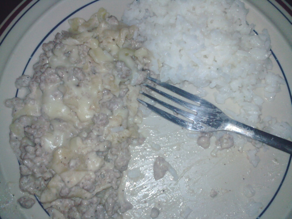 sunny san diego :: homemade turkey stroganoff with a side of garlic and parsley white rice, looks gross but it was damn good