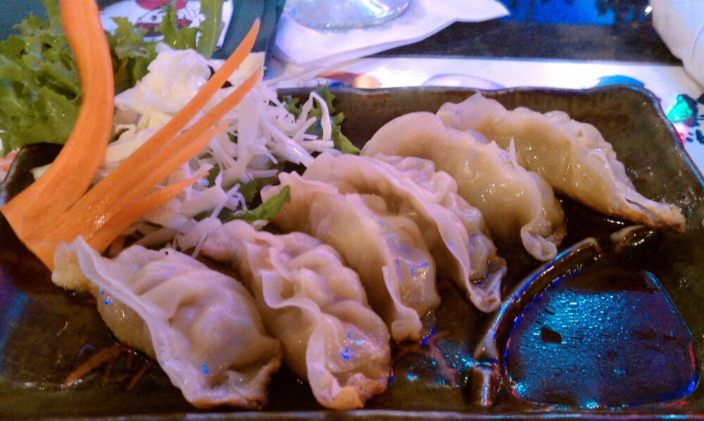 illadelphia,pa :: gyoza mmmmm....