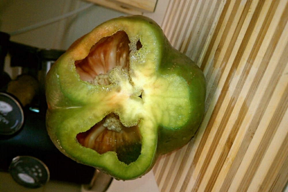 ALLENTOWN,PA :: green bell pepper looking like a skull