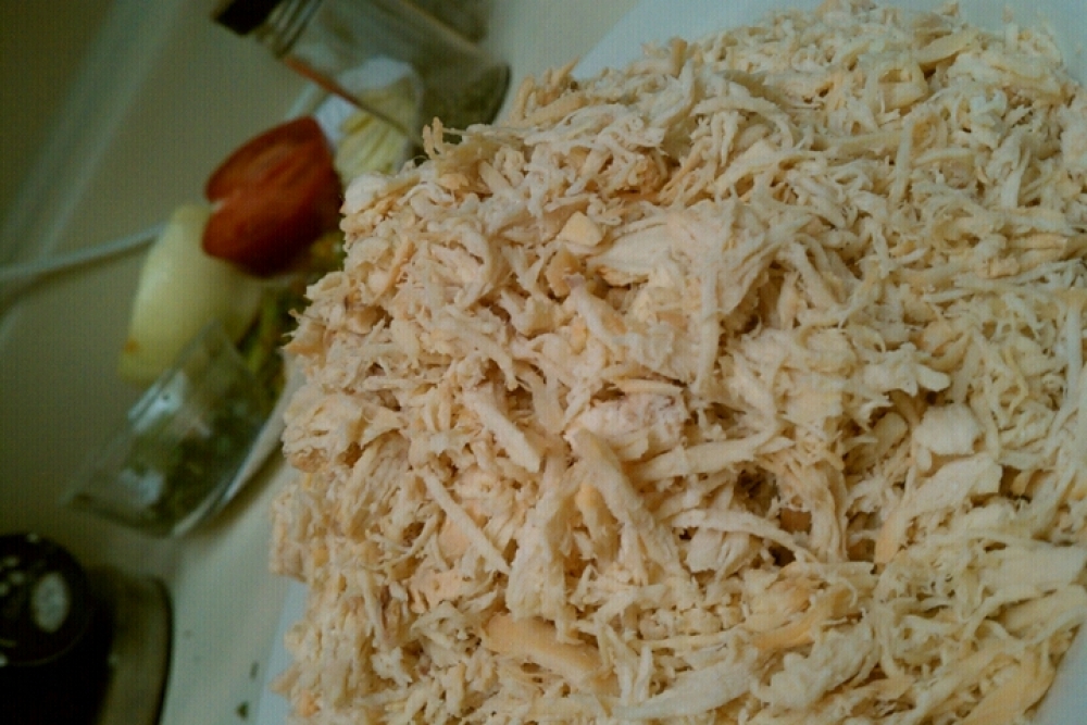 ALLENTOWN,PA :: shredded chicken breast 