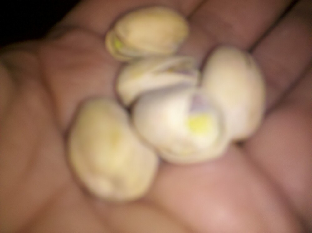 home  :: pistachios YUM! 