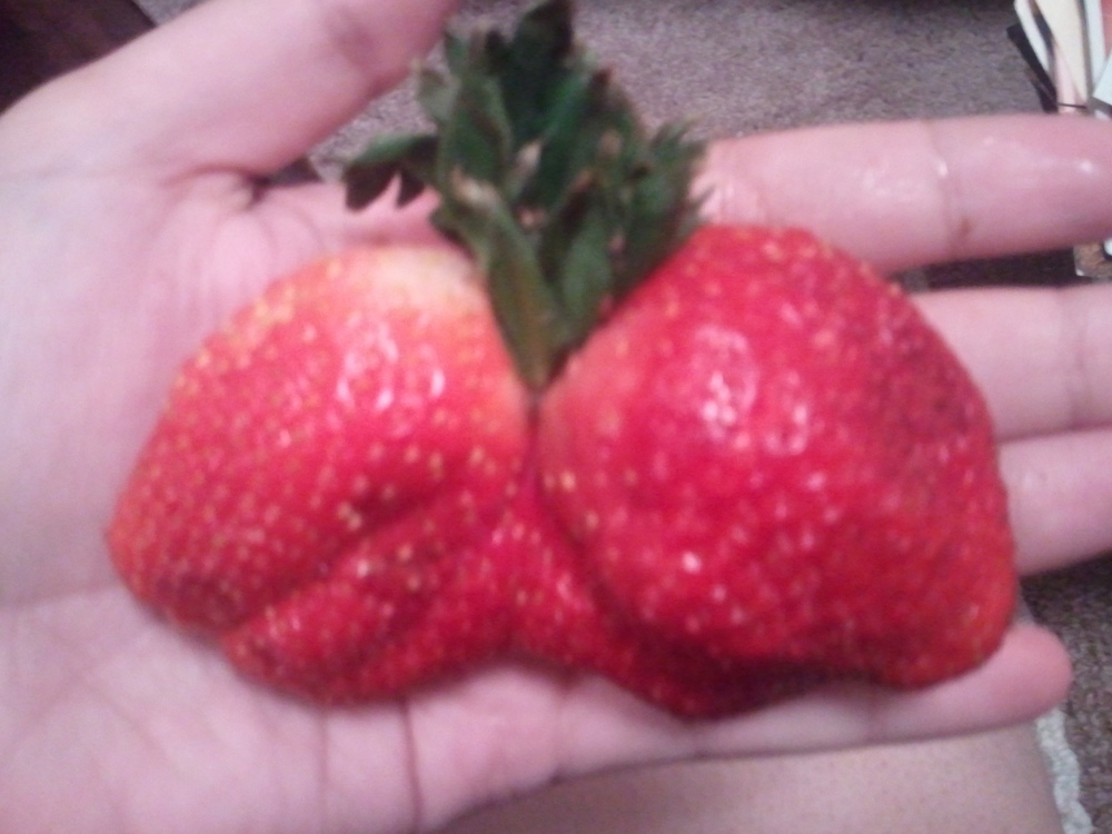 No Title :: Overgrown ripe strawberry