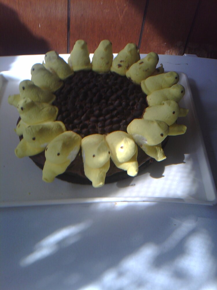 iowa :: peeps sunflower cake