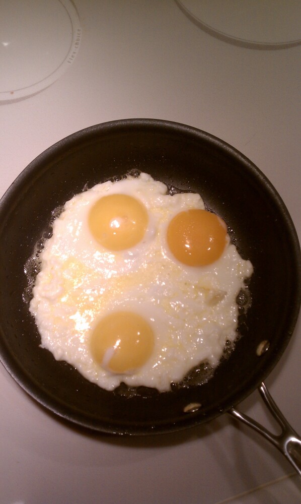 Milford NH :: eggs