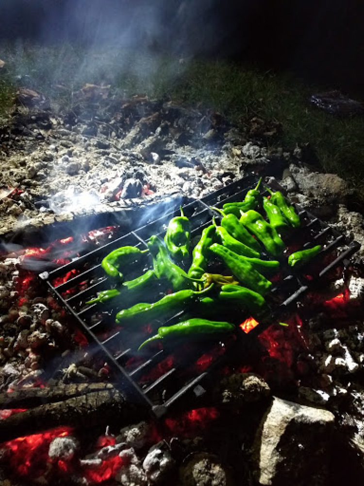 Milford NH :: homegrown peppers