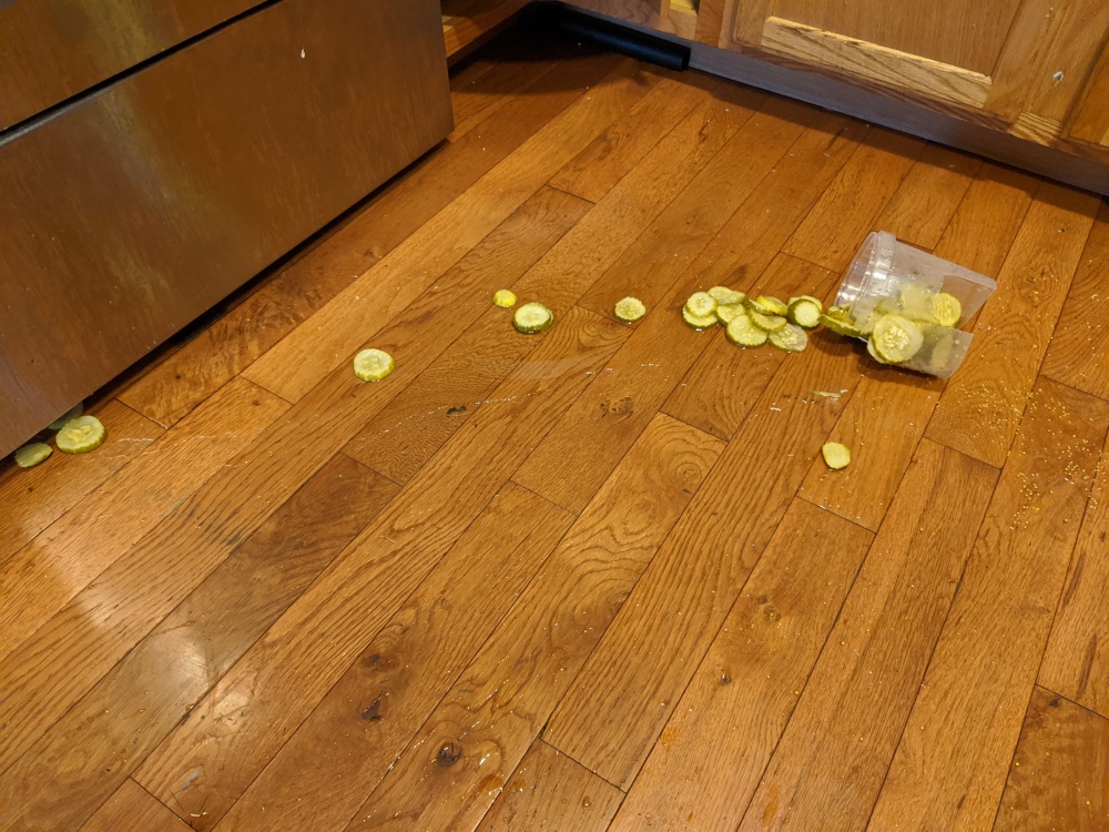 Plainville, CT, USA :: Precious pickle chips enjoying the floor