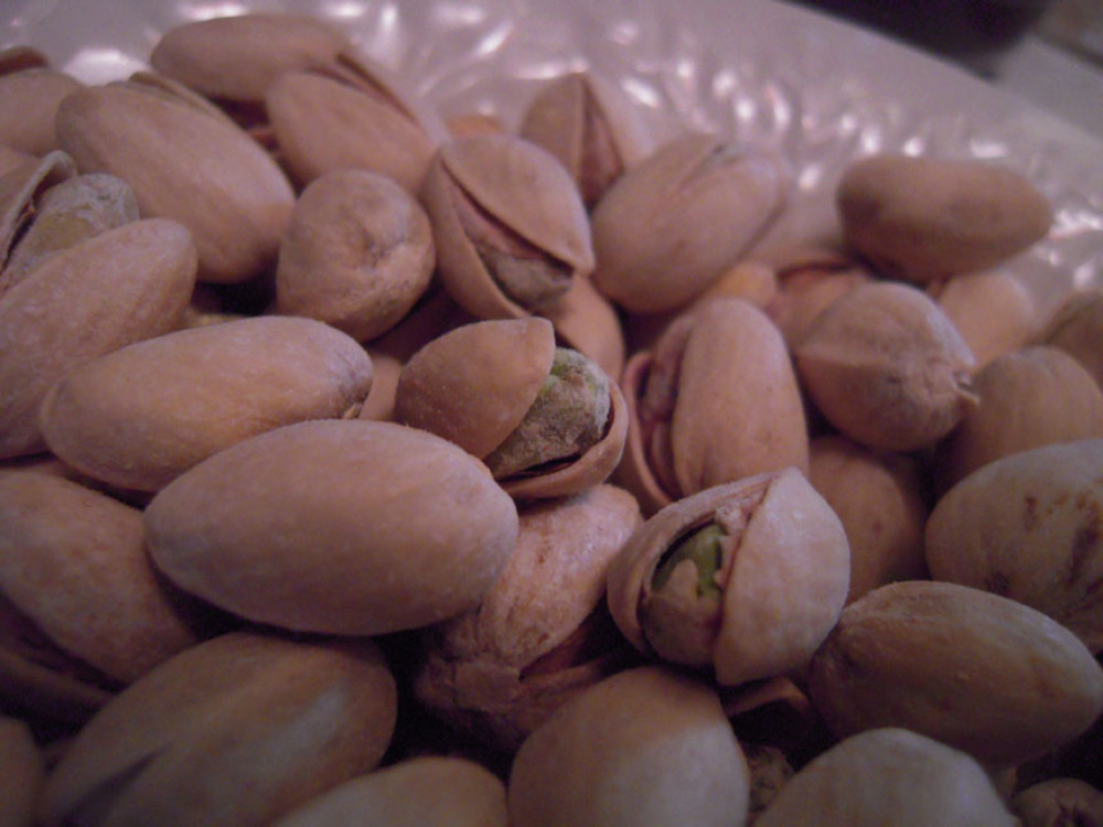 My house Cambridge, MA :: a bowl of pistachios... I put the shells into a mrgarite glass... where do you put your shells??" into empty shot-gun shells?" shells filled with shells sounds fun!