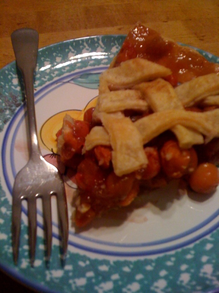 Uncles House Cambridge, MA :: My Aunt made some cherry pie from cherries that she picked from her back-yard the other day! "the 3rd to last bite to the finish line I took a nice chomp and something went chrunch... I hope it was not my tooth... it may of been part of a sead... I just delt with it and finished the last 2 bites wanting more! "but I stopped my self because I was in non-stop eating mode at that point!!! ""I like Pie"