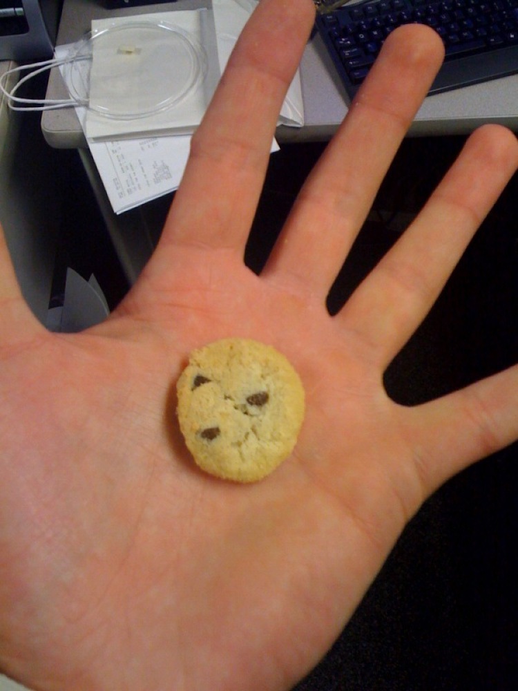 Marriott Back Room Cambridge, MA :: this is one bite sized cookie in my hand... I ate them one at a time not to feel like such a gluttn... but looking back I ate like 43 of them... small cookies are just as good as large ones!