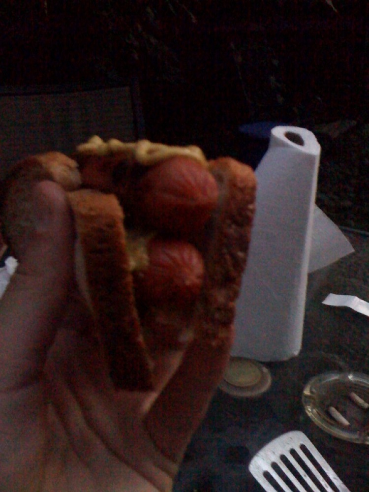 My House Back-YardCambridge, MA :: this is a double Decker-Hot-Dog... you know why!!