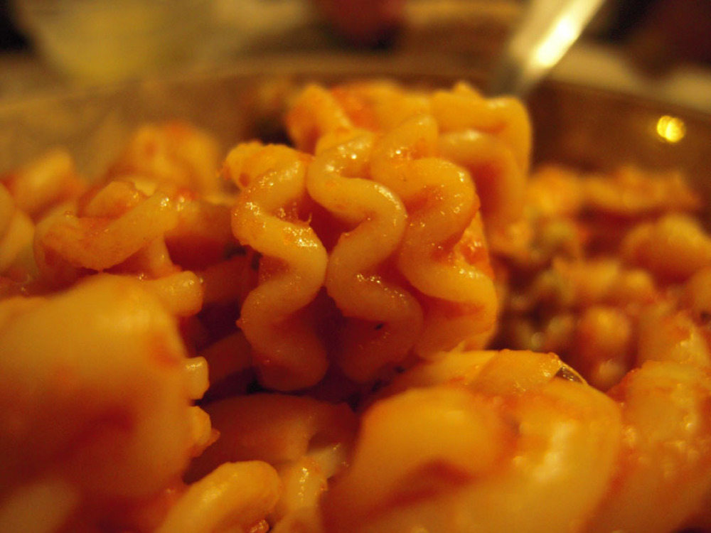 Brothers house Portland, ME :: this pasta looks like brains!! the high-way smelled like pasta and sauce so I cooked and ate some for dinner... the high-way did not smell like brains..