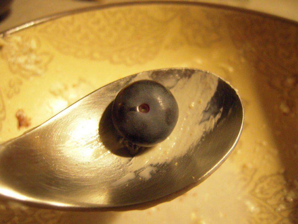 Brothers house Portland, ME :: one blueberry on a cool looking spoon!