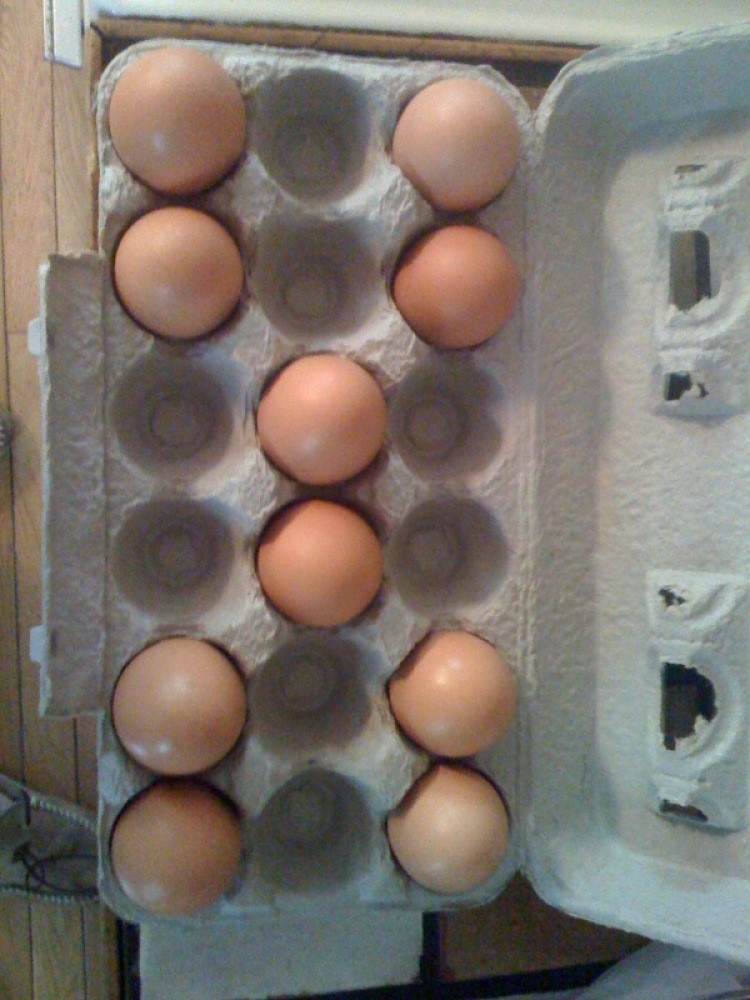 Cambridge, MA :: I have this weird thing with eggs in the carton where I have to organize them in such a way where they have to be all balanced nice style!!!