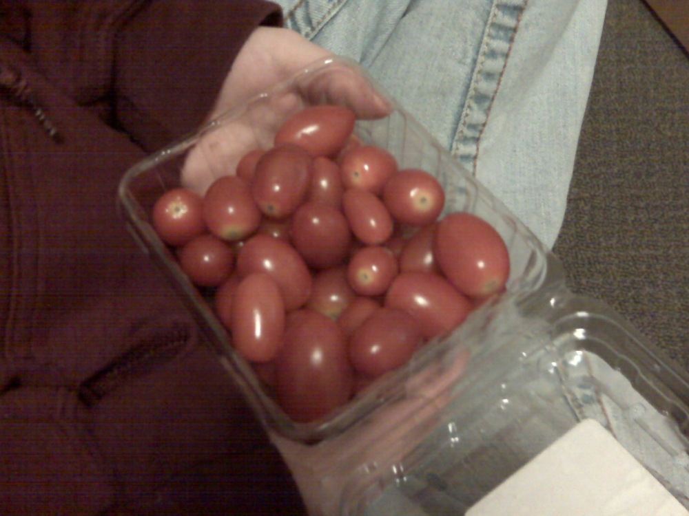 Keene NH :: Sweet Grape Tomatoes from Hartford CT