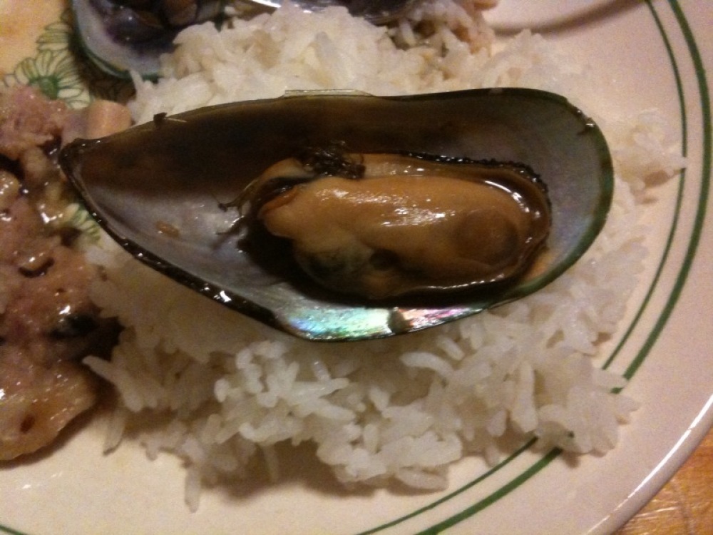 My House :: I hate to brag, but check out that mussel.
