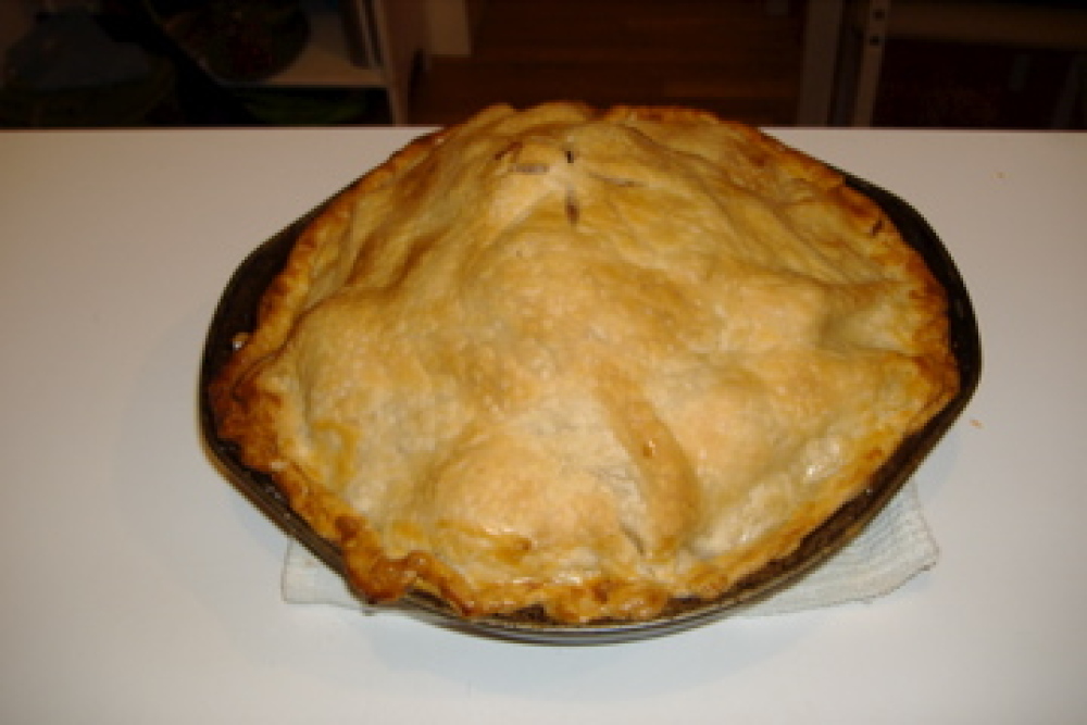 my house on Pearl street  Cambridge :: Chris and I went apple picking on Colombus  Day and picked lots of yummy apples.  We went home and I made this pie out of them!