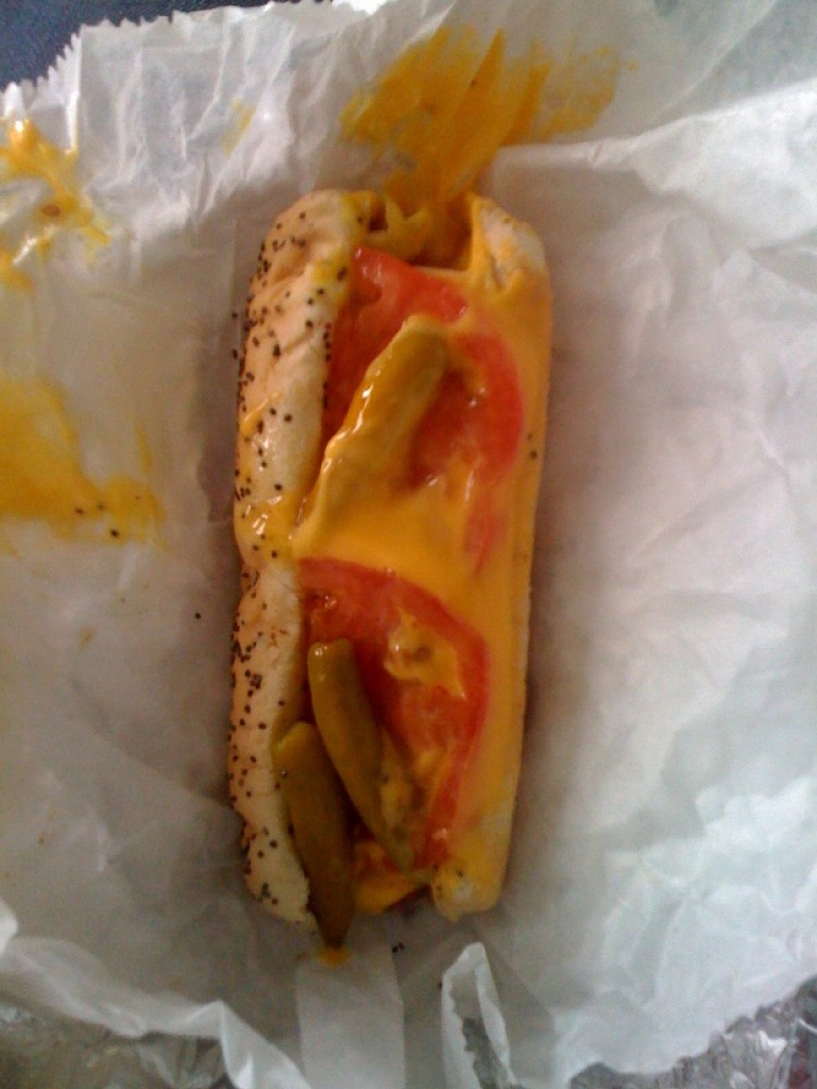 Rockford, IL :: this is a Chicago style hot-dog with cheese!  the dog comes with "Chicago" relish, a pickle slice, diced onion, hot peppers, and sliced tomato.  what a great dog!  I ate all 3 kinds just to make sure I liked Chicago Style dogs... and I do!