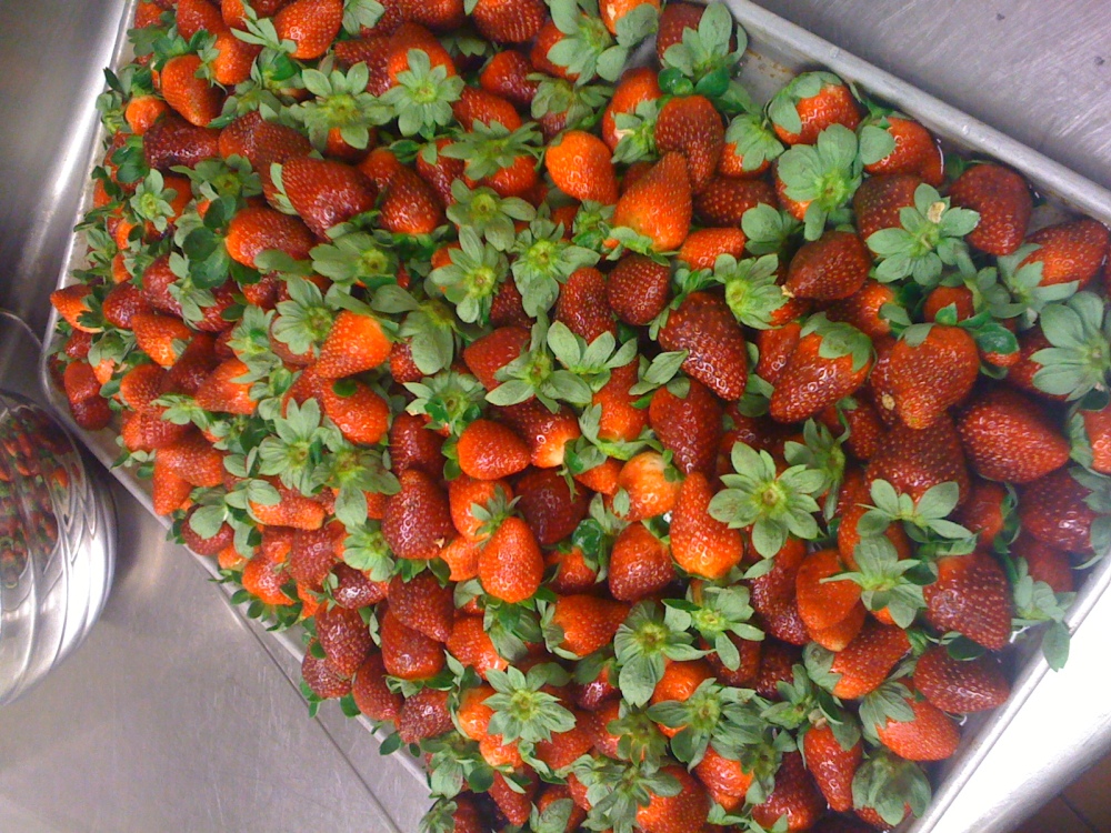 Marriott Kitchen :: I was walking through the kitchen the other day and this is where I saw this mound of berries!!!  I sampled a few of them just make sure they were safe to eat