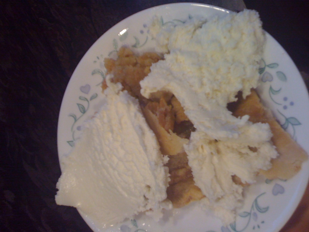 Parents house Milford, NH :: this is apple pie with ice cream!  I like extra ice cream and extra pie... so I guess its a normal amount of both!