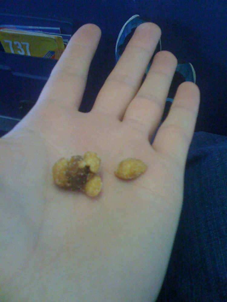 southwest.com about 36,000 feet :: this is what I like to call a "super honey roasted peanut" 