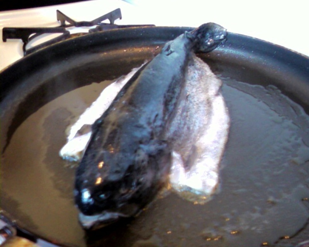 my kitchen :: Pan-fried Trout. quick and easy. whenever possible, i like my lunch to look at me while i cook it. does that make me strange?