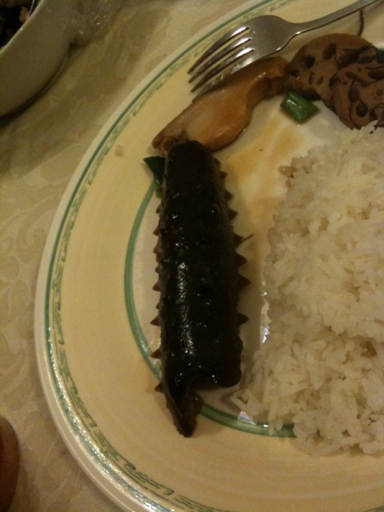 My House :: The sea cucumber steals the show, with a piece of abalone above it!