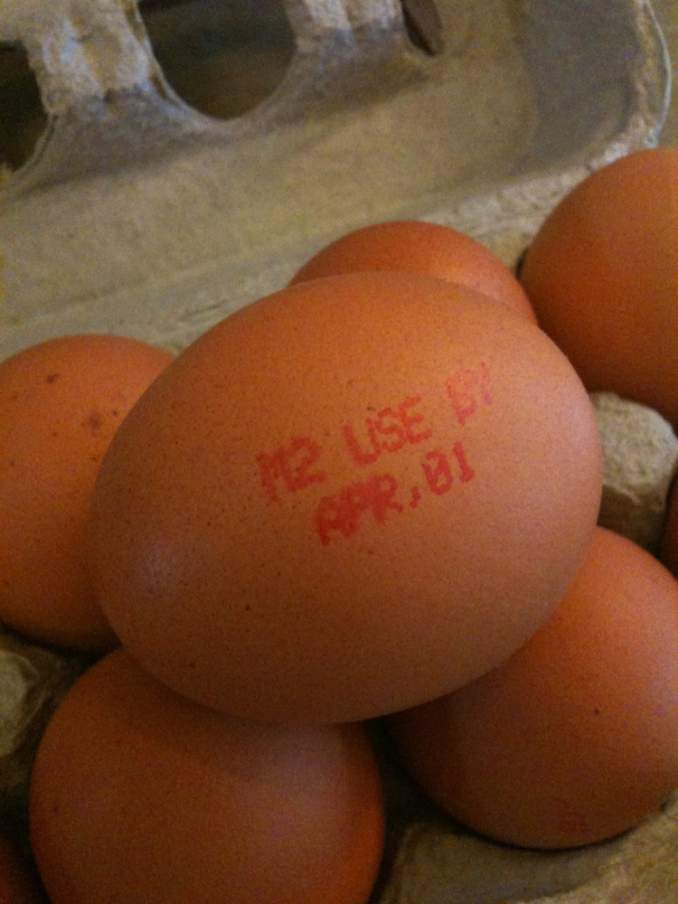 My house Cambridge, MA :: this is the first time I have ever had an egg with a date stamp on it telling when it is not fresh anymore!  weird!  this one got hard-streamed and eaton!